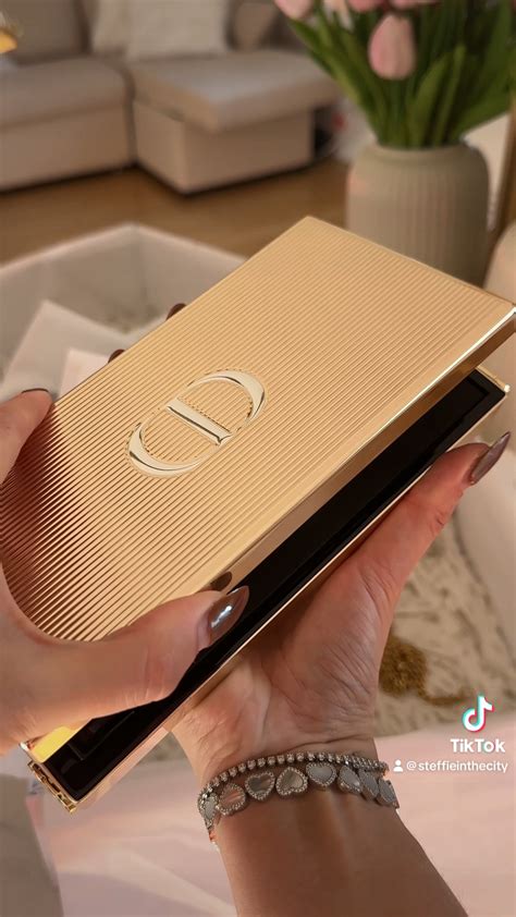 dior minaudière